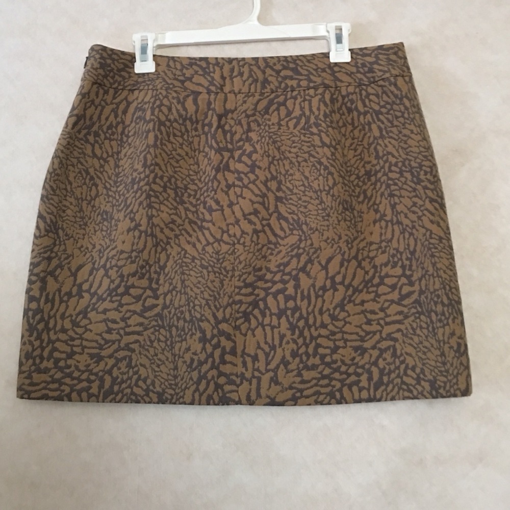 Ann Taylor Loft Lined Skirt Size 12